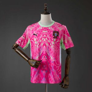 Portugal VM 2026 Keeperdrakt Rosa – Fotballdrakt Herre
