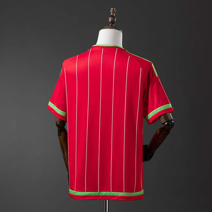 Retro Wales 2015/16 Hjemmedrakt Herre Fotballdrakt