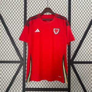 Wales 2024 Hjemmedrakt Rød Kortermet Fotballdrakt Herre